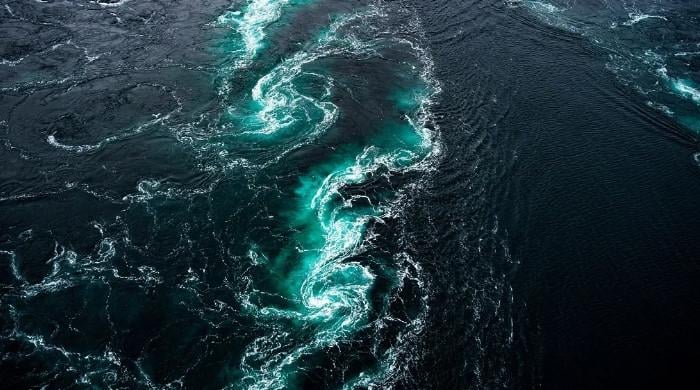 Scientists find mysterious ‘cold blob’ in Atlantic Ocean, raising fears of a climate catastrophe