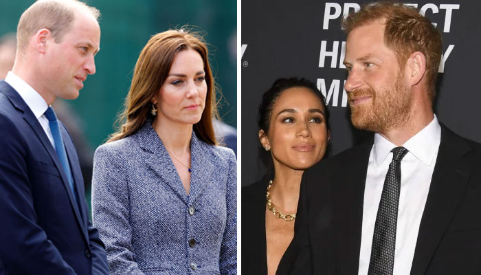 Prince Harry, Meghan spark anger for ‘blurring important lines’: ‘You’re no working royals!’