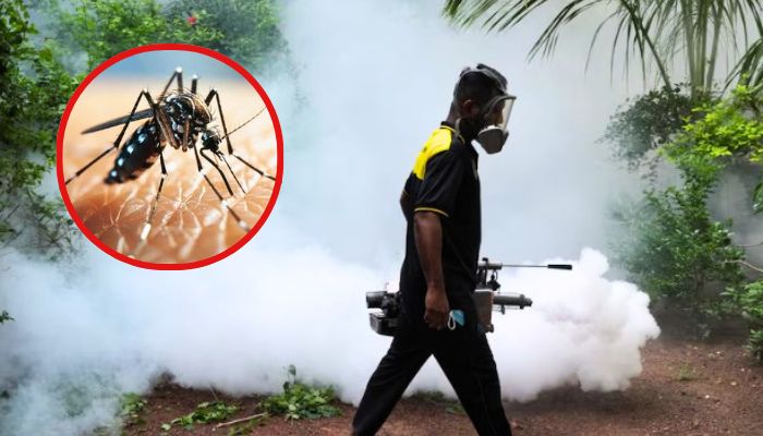 Sri Lanka battles dengue surge with 44,000 cases this year