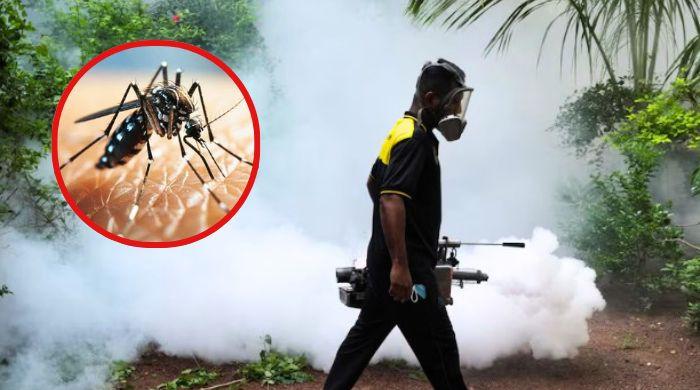 Sri Lanka battles dengue surge with 44,000 cases this year