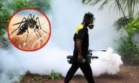 Sri Lanka Battles Dengue Surge With 44,000 Cases This Year