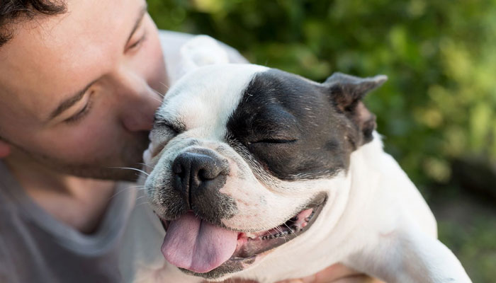Woman left £60,000 for dog charity
