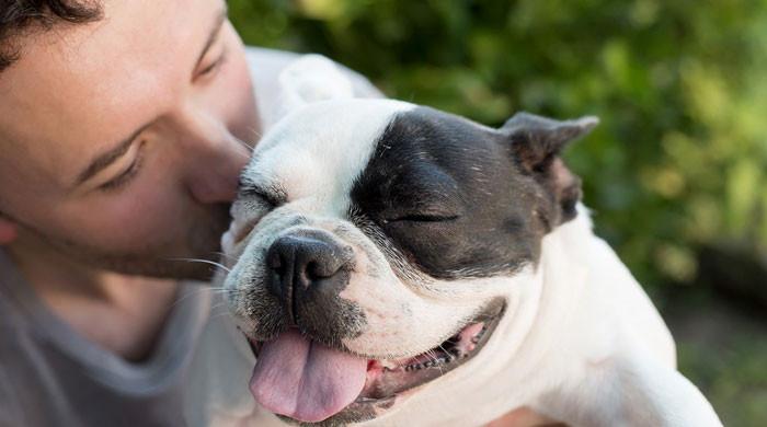 Dog's lover's £60,000 final gift before death stuns community