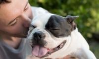 Dog's lover's £60,000 final gift before death stuns community