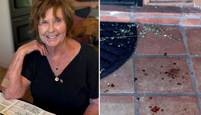 Nancy Guthrie update: Did one bombshell mistake doom the investigation?