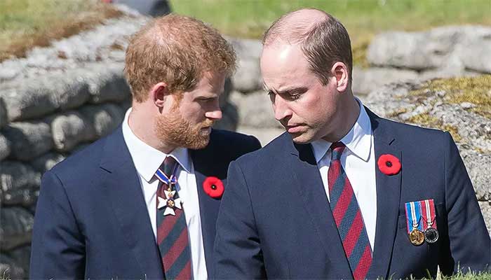 Prince Harry to reunite with Prince William on upcoming UK trip? Here’s what insiders predict