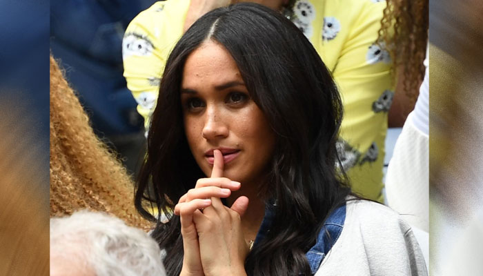 Meghan Markle makes mammoth decision to blur the lines between philanthropy and profit