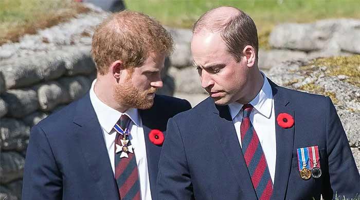 Prince Harry to reunite with Prince William on upcoming UK trip? Here’s what insiders predict