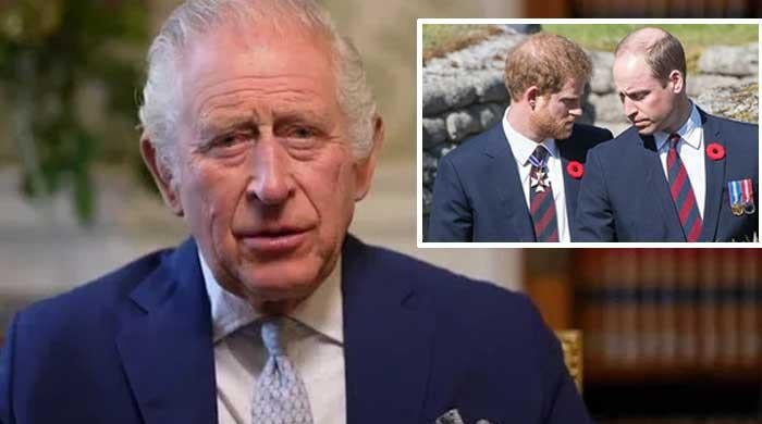 Why King Charles is letting the rift between his sons stand?