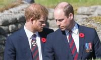 Prince Harry To Reunite With Prince William On Upcoming UK Trip? Here’s What Insiders Predict