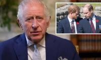 Why King Charles Is Letting The Rift Between His Sons Stand?