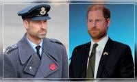 Prince Harry’s ‘had An Axe To Grind For Years’: ‘Prince William Is Nothing But A Buffoon Half The Time’
