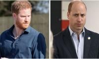 Prince William’s Raw Thoughts Against Prince Harry Bubble Up: ‘What A Bitter Troublemaker!’