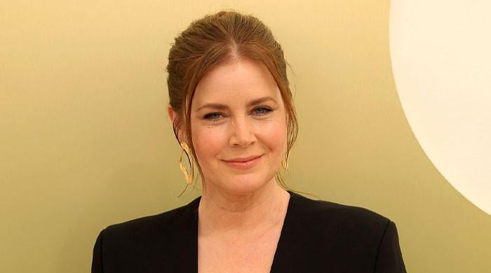 Amy Adams recalls terrifying encounter with a stabbed man: 'People were screaming'