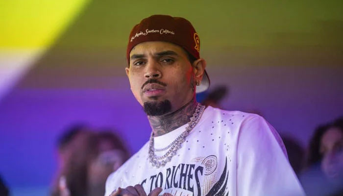 Housekeeper weeps on stand as she recounts Chris Browns dog attack