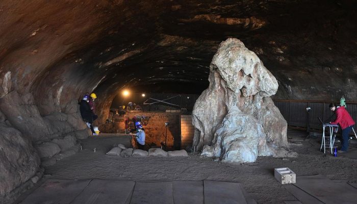 Scientists discover evidence of fires used by humans 1.8 million years ago