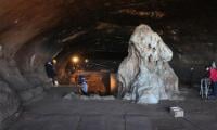 Scientists Discover Evidence Of Fires Used By Humans 1.8 Million Years Ago