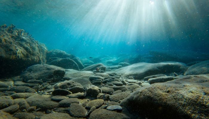 Scientists find ancient microbial life in places it shouldnt exist