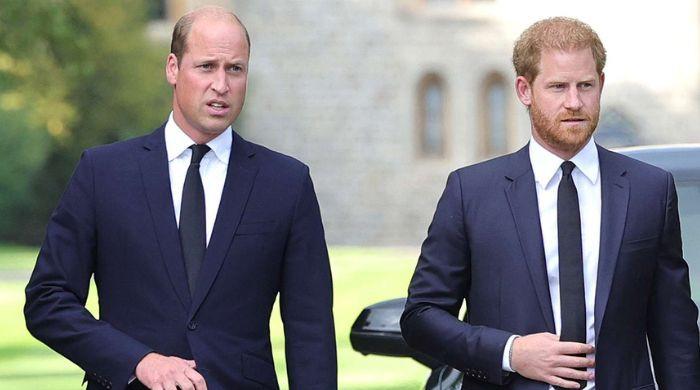 Prince Harry bracing for 'nothing' under King William's reign