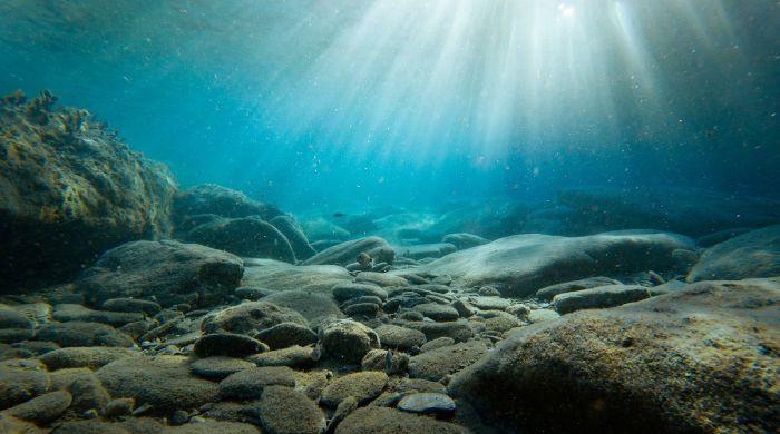 Scientists find ancient microbial life in places it shouldn't exist 