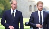 Prince Harry bracing for 'nothing' under King William's reign