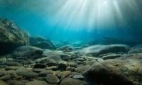 Scientists Find Ancient Microbial Life In Places It Shouldn't Exist 