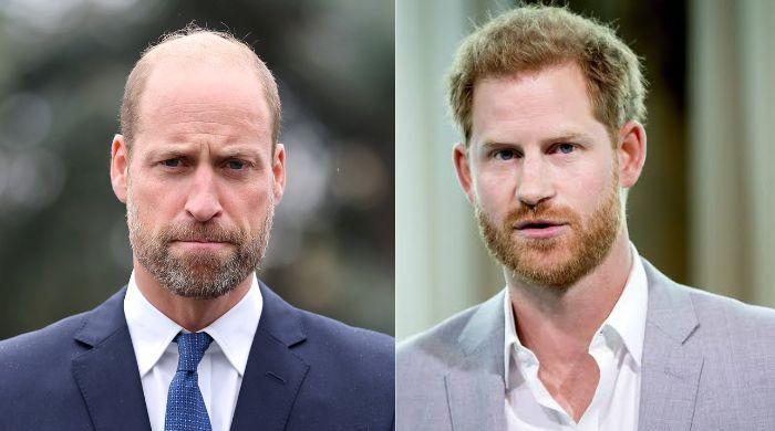 Prince William needs time as Prince Harry extends Olive branch