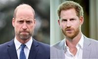 Prince William needs time as Prince Harry extends Olive branch