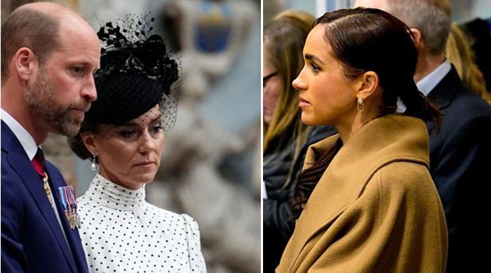 Prince Harry and ‘viper of a wife’ Meghan deliver ‘blow to Kate’ with King Charles’ help