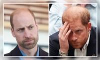 Prince William fails to wrap his head around Sussex red carpet treatment: ‘Why so much for them?’