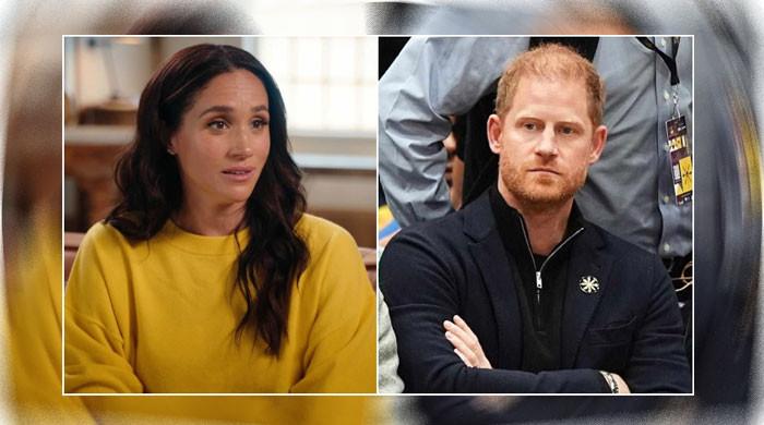 Prince Harry throws his visa woes onto Meghan: ‘Already tried to blame her for it’