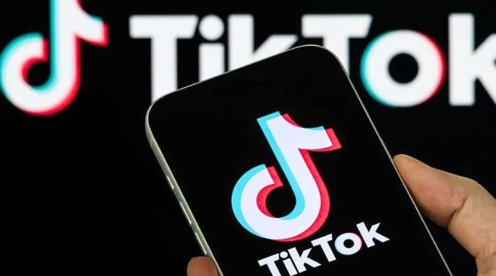 TikTok liability upheld while data transfer ban faces regulatory review