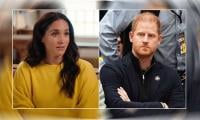 Prince Harry throws his visa woes onto Meghan: ‘Already tried to blame her for it’