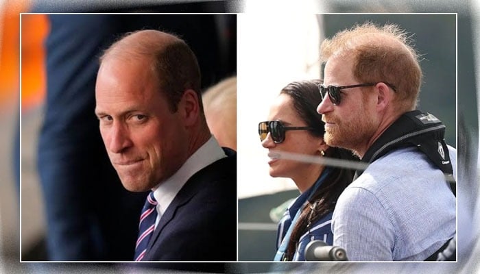 Prince Harry’s claims rubbished: ‘What rug was pulled? They use one like a flying carpet’