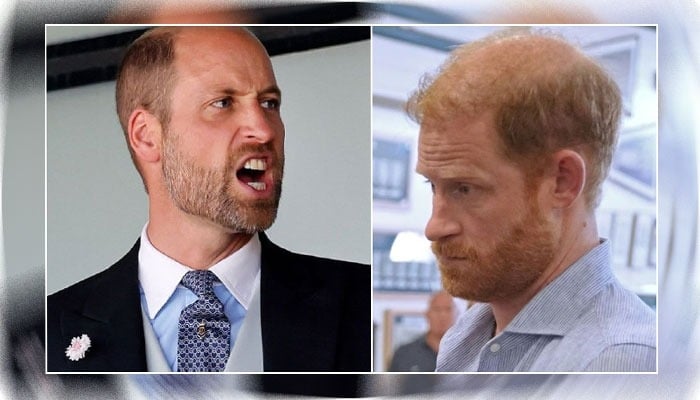 ‘Hot-headed clan’ son Prince Harry gets brutal reality check and ‘excruciating serial blunders’