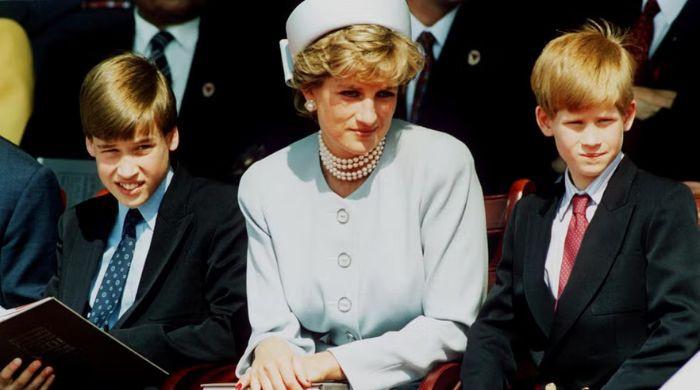 Princess Diana wanted to avoid ‘fracture’ between Prince William, Prince Harry
