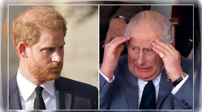 Prince Harry sparks outrage: 'You're testing already strained patience to its limit!'