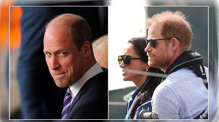 Prince Harry’s claims rubbished: 'What rug was pulled? They use one like a flying carpet'