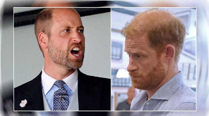 ‘Hot-headed clan’ son Prince Harry gets brutal reality check and ‘excruciating serial blunders’