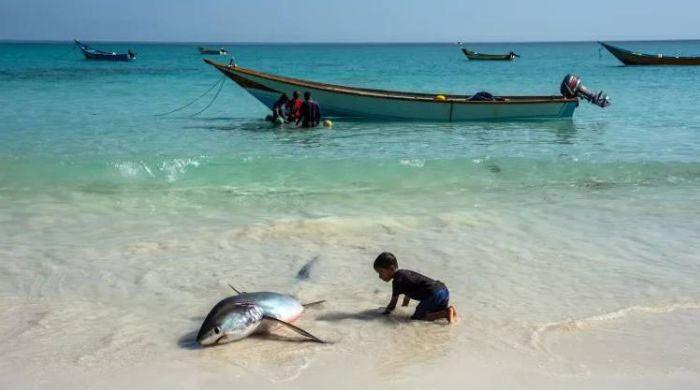 World oceans just had their hottest June on record: Here's why it matters