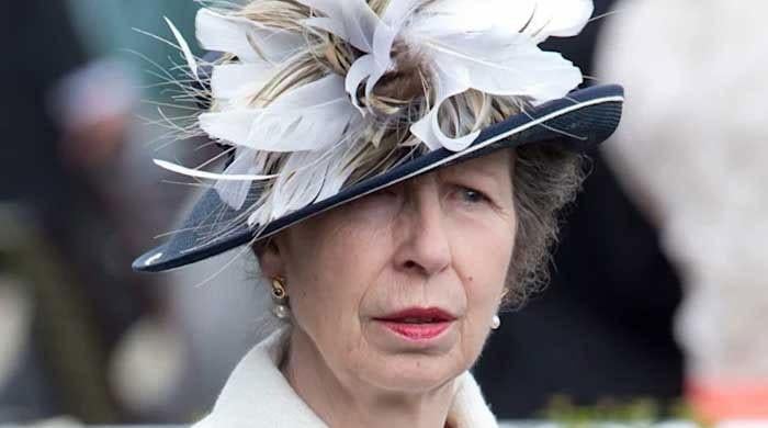 Princess Anne delivers powerful message in France