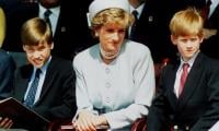 Princess Diana wanted to avoid ‘fracture’ between Prince William, Prince Harry