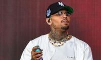  Chris Brown Pays Hefty Compensation To Housekeeper Mauled By His Dog