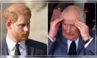 Prince Harry sparks outrage: 'You're testing already strained patience to its limit!'