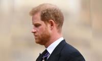 Prince Harry Turns Desperate: ‘But His Name Doesn’t Even Come Up’