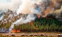 Europe on ‘red alert’ as wildfires rage across Southern France amid record temperatures