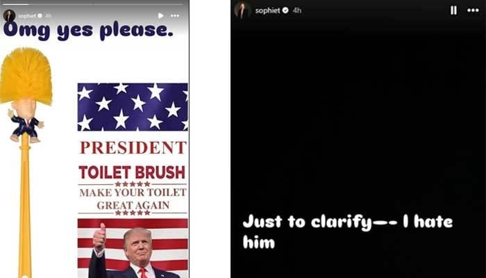 Sophie Turner takes aim at Trump with Toilet Brush meme