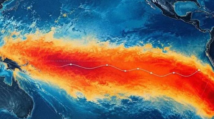 Peru declares state of emergency in 796 districts over El Nino warning