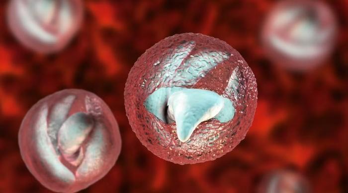Explosive diarrhoea parasite spreads across US with cases reported in 17 states