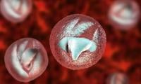 Explosive Diarrhoea Parasite Spreads Across US With Cases Reported In 17 States